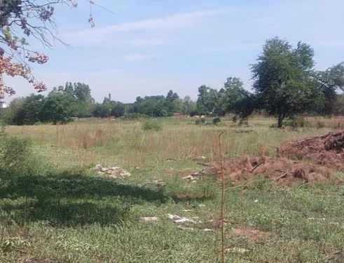 Van Der Westhuizen, Vereeniging