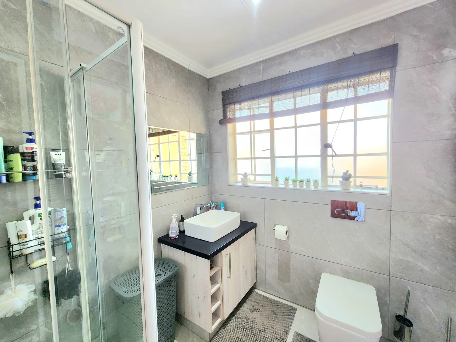 Breathe Easy in Beautiful Ravenswood