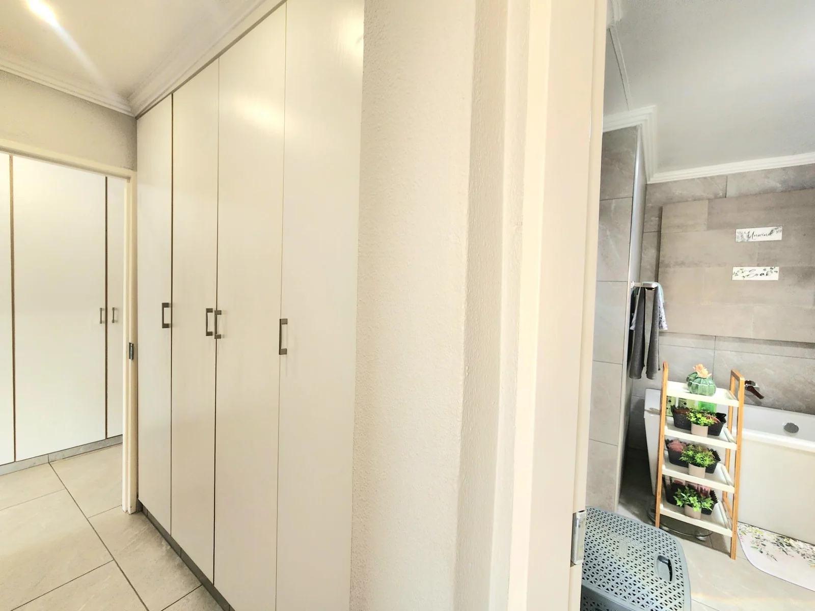 Breathe Easy in Beautiful Ravenswood