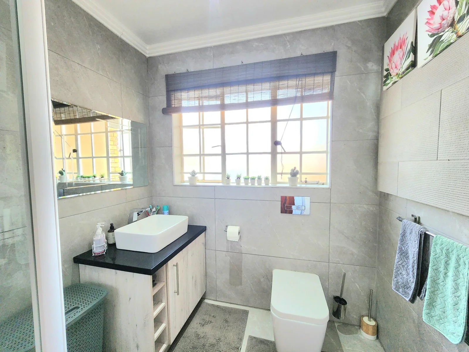 Breathe Easy in Beautiful Ravenswood