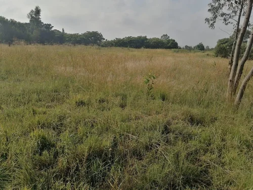 Meyerton Central, Meyerton