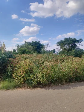 Waldrift, Vereeniging