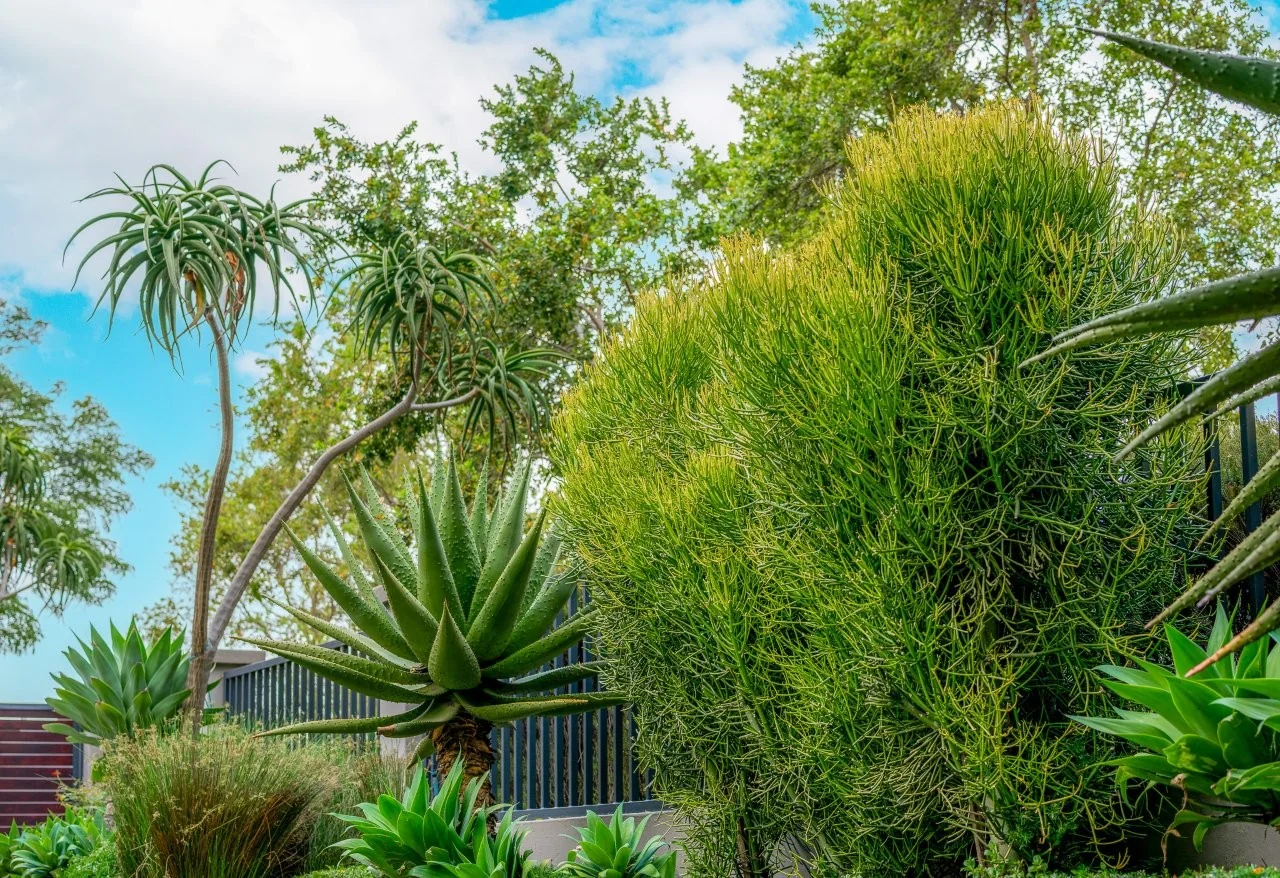 TIMELESS MIDLANDS HOME WITH REMARKABLE ATTENTION TO DETAIL.