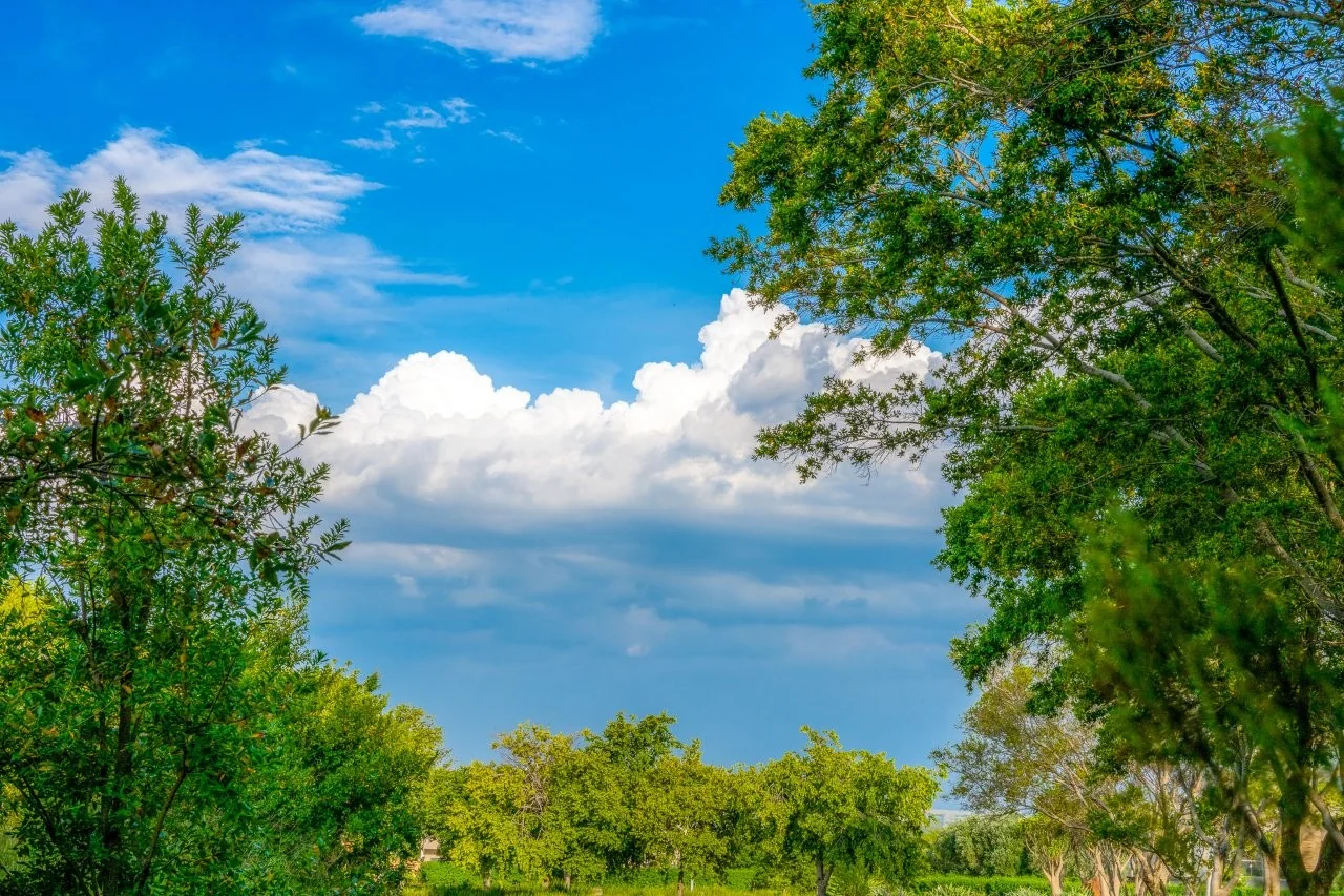 TIMELESS MIDLANDS HOME WITH REMARKABLE ATTENTION TO DETAIL.