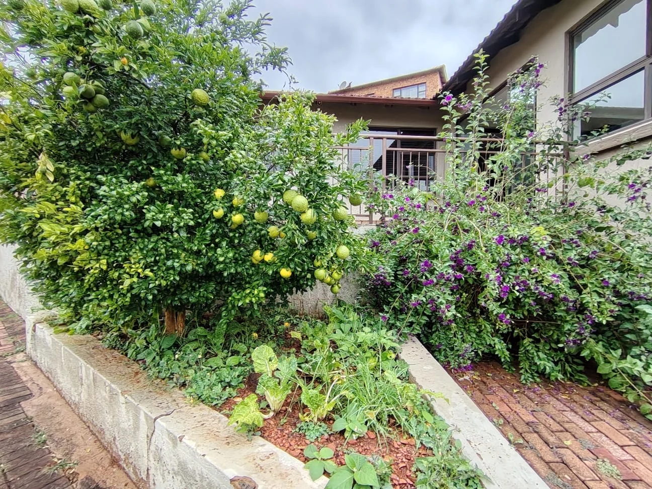 Fabulous Rental Property in a perfect, tranquil setting of Rangeview ext