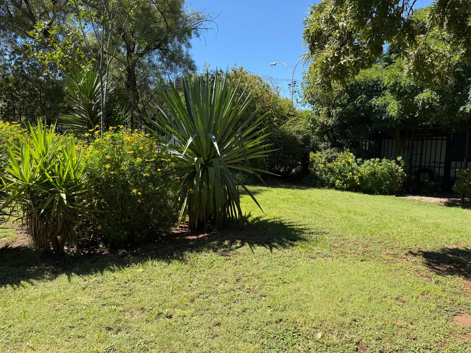 Bayswater Move in Ready Bayswater home with a flat for sale