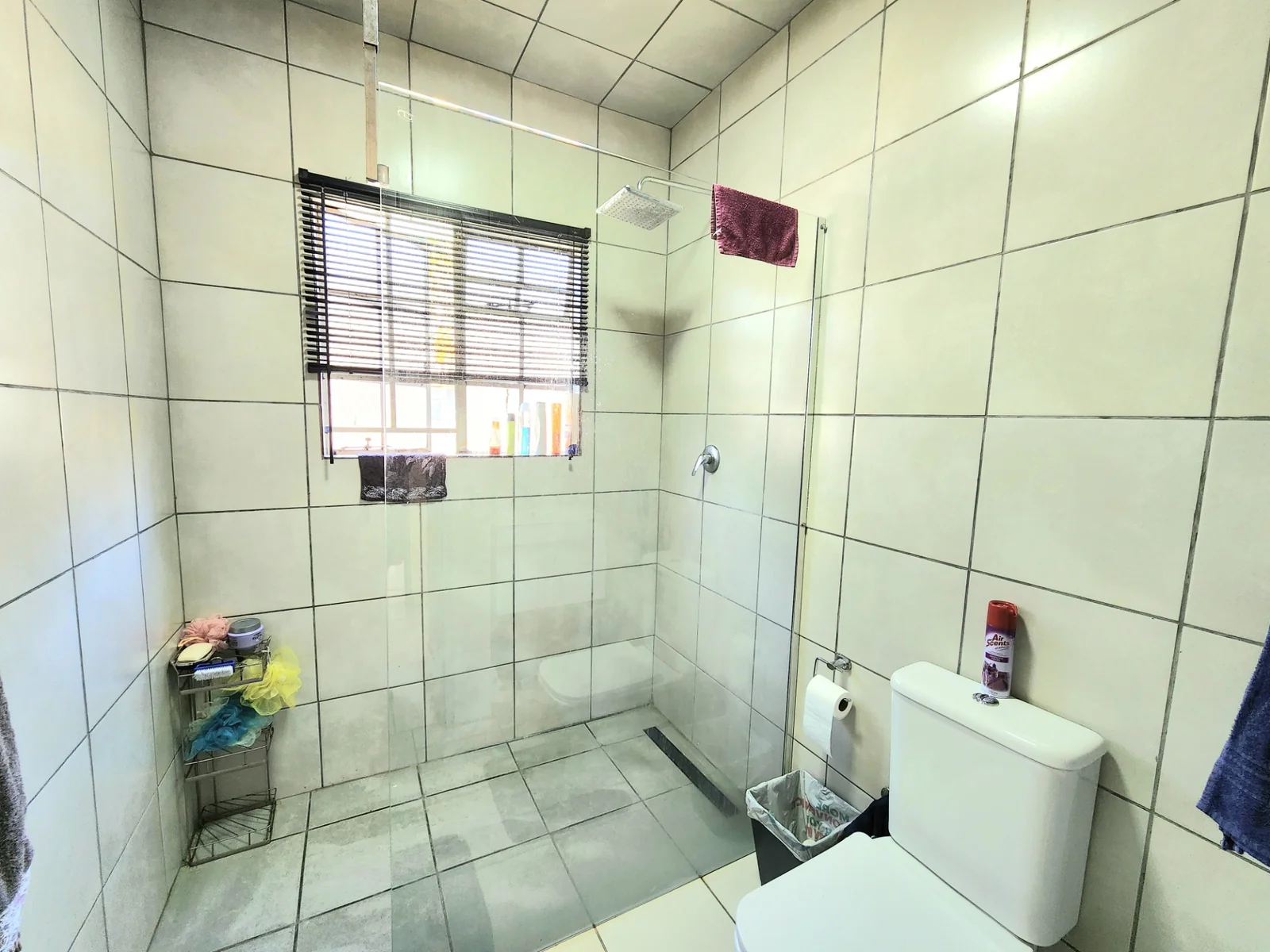 Spacious Ground Floor Unit in Secure Westwood Villas – Byers Park