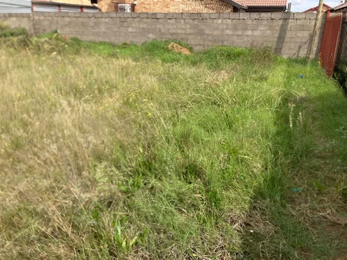 Grasslands, Bloemfontein