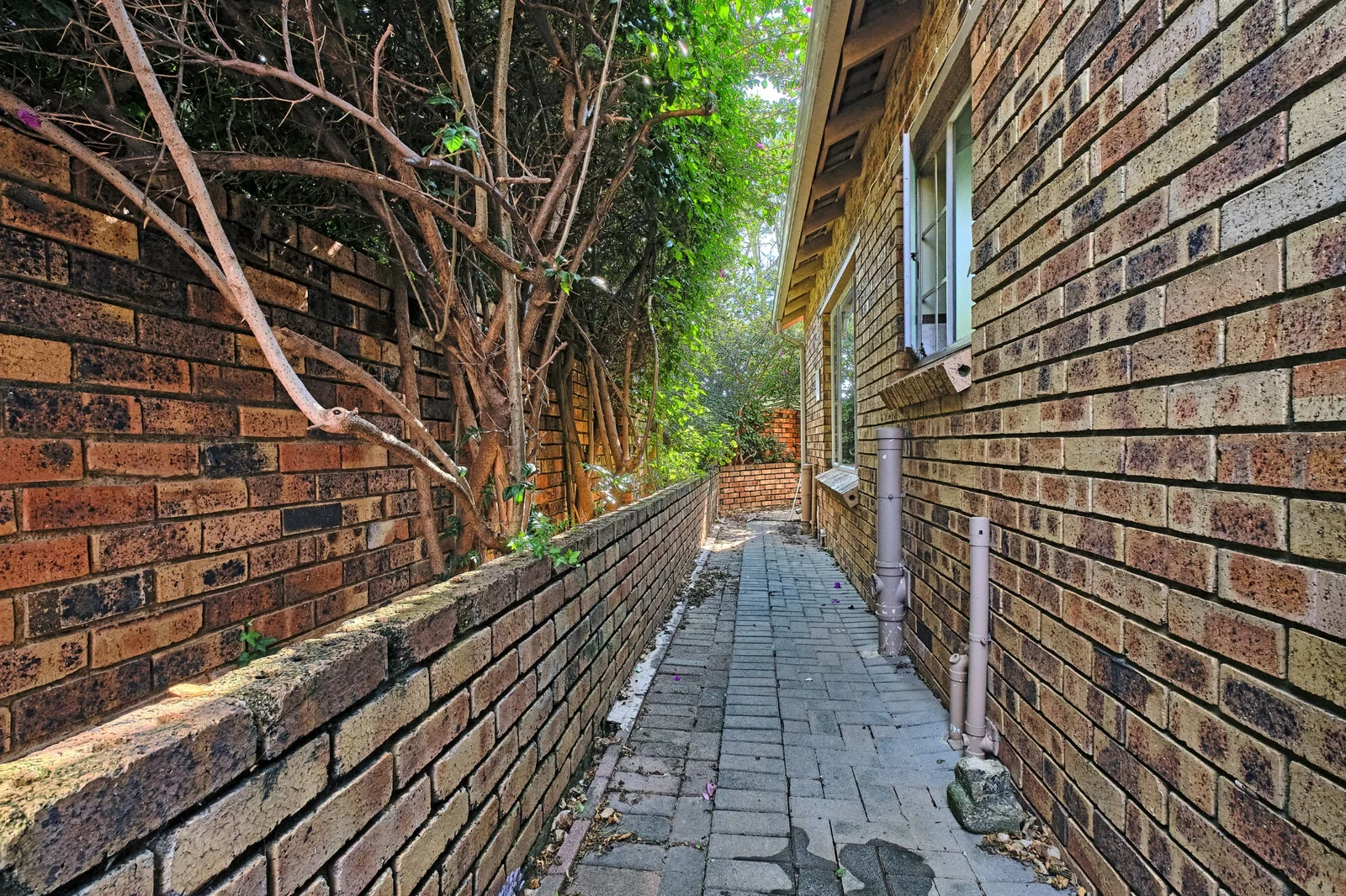 Stunning 3 Bedroom, 2 bathroom, pet friendly home