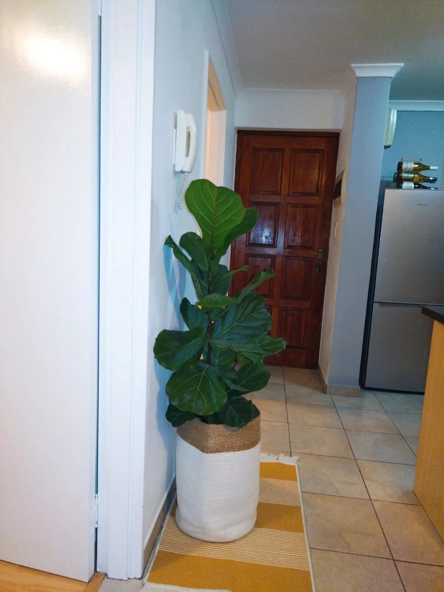 Neat 1 Bed unit for Sale - Walk to BEACH