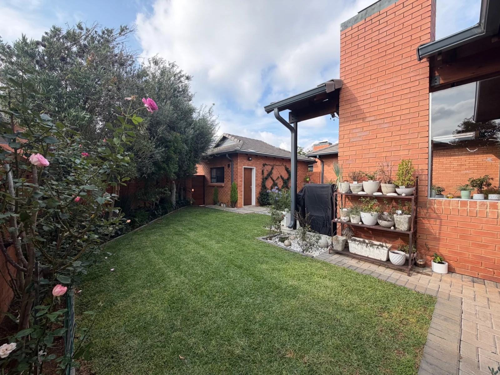 LOOK NO FURTHER ......