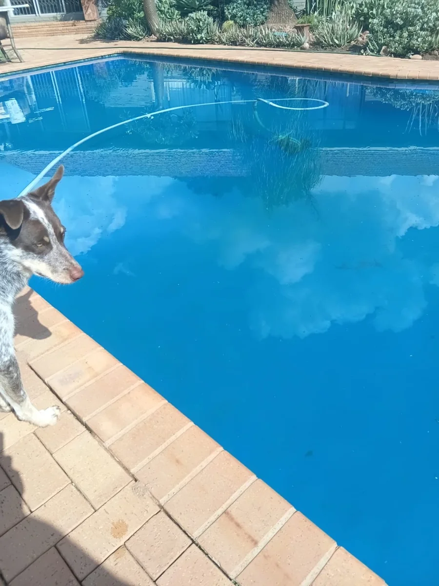 Exclusive Sole Mandate