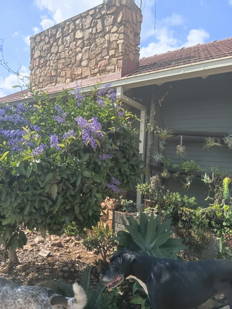 Exclusive Sole Mandate