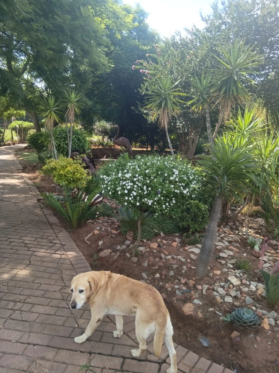 Exclusive Sole Mandate