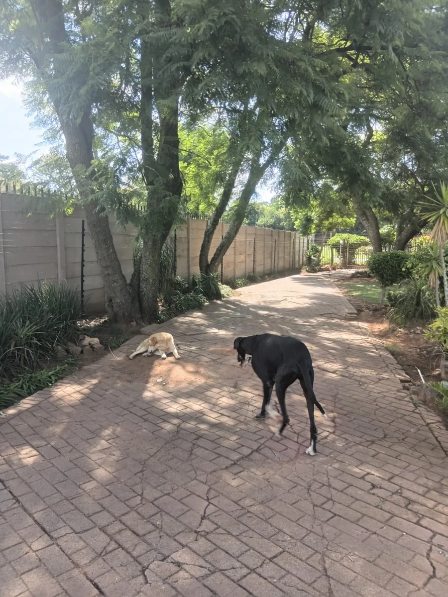 Exclusive Sole Mandate