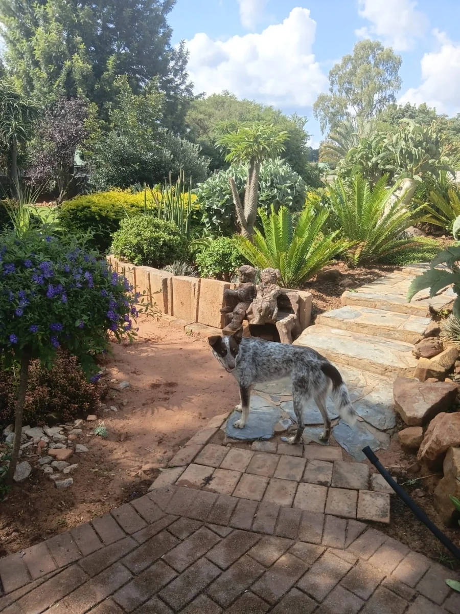 Exclusive Sole Mandate