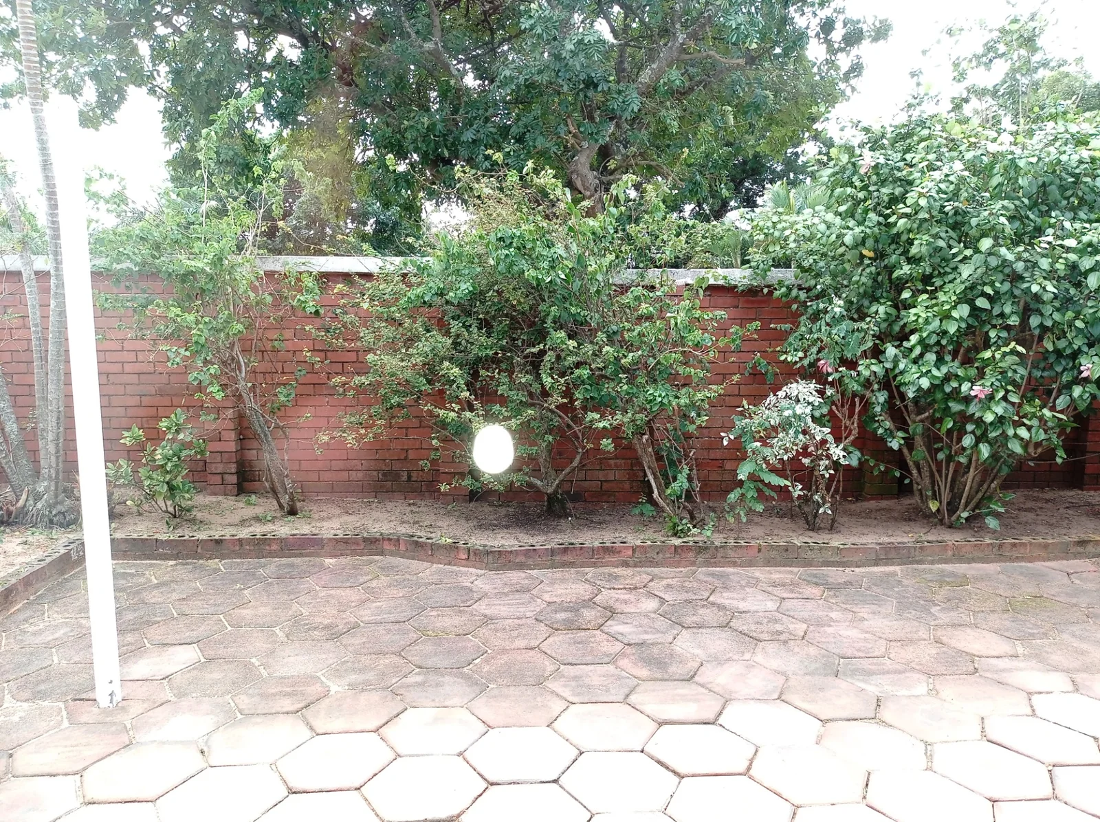 PLACE FOR GRANNY TOO