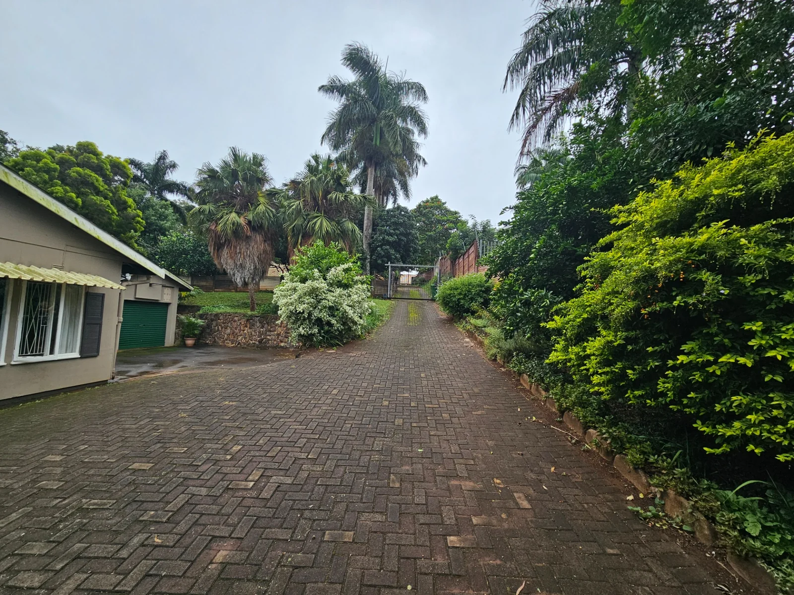 Quaint 3 bedroomed home in well established garden in Fairview