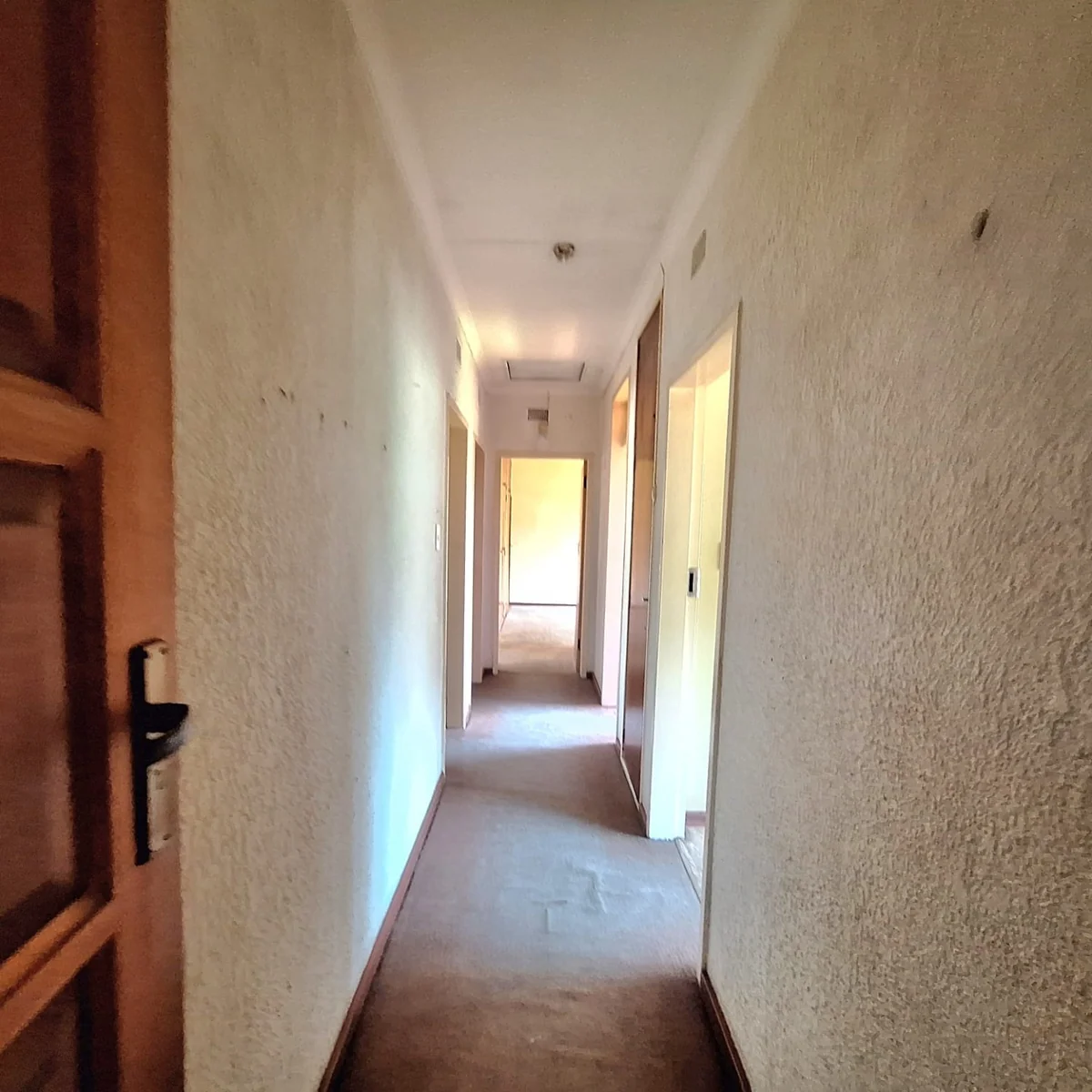 A gem to uncover in Birch Acres