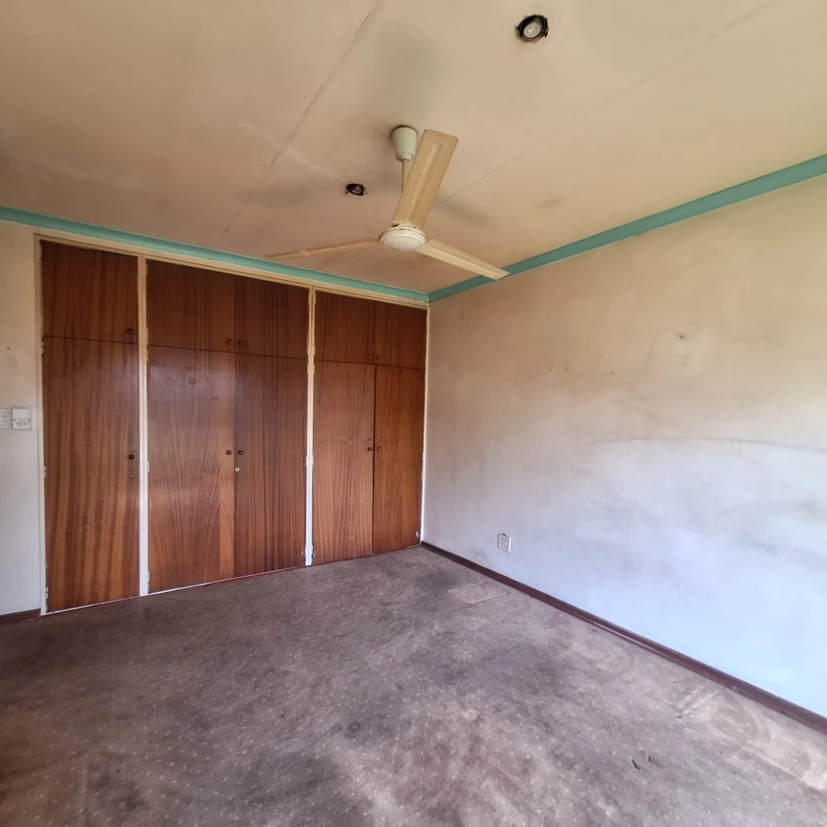 A gem to uncover in Birch Acres