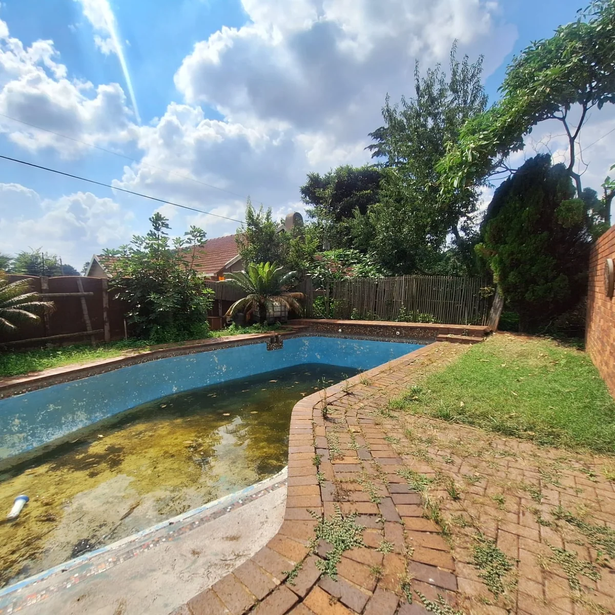 A gem to uncover in Birch Acres