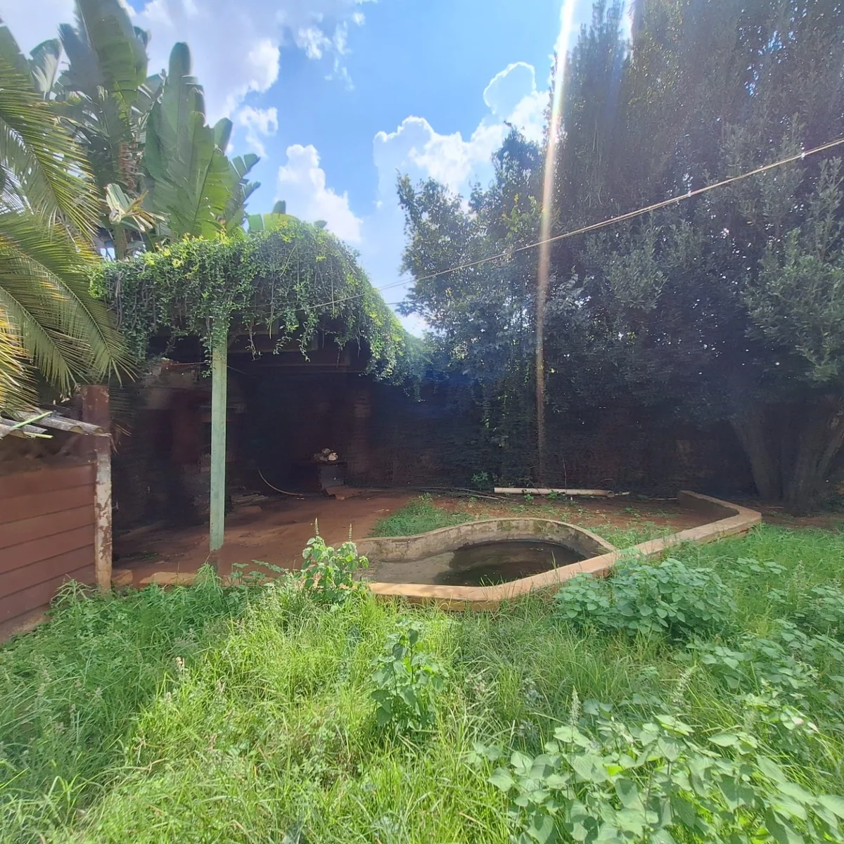 A gem to uncover in Birch Acres