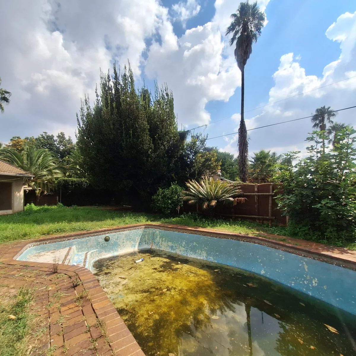 A gem to uncover in Birch Acres