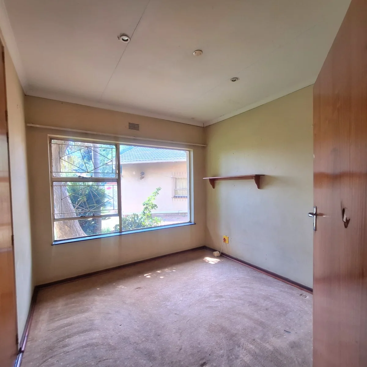 A gem to uncover in Birch Acres