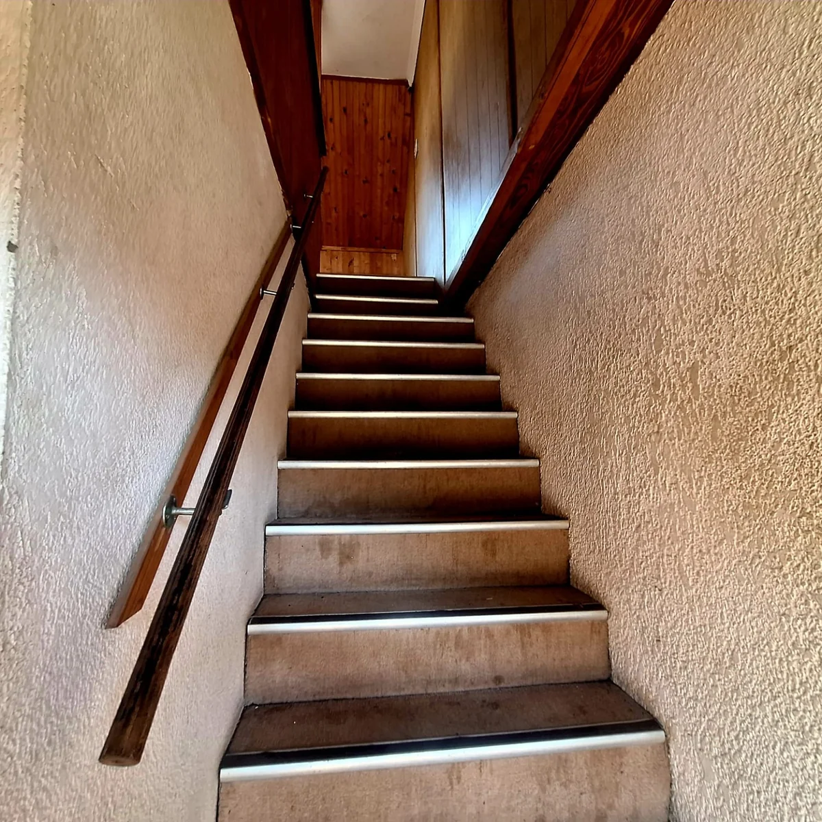 A gem to uncover in Birch Acres