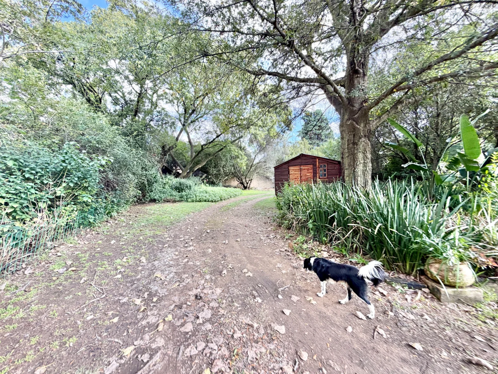 Investment Property in Glen Austin, Midrand – 1 Hectare Income-Generating Multi-Let Asset with Cottages & Massive Development Potential