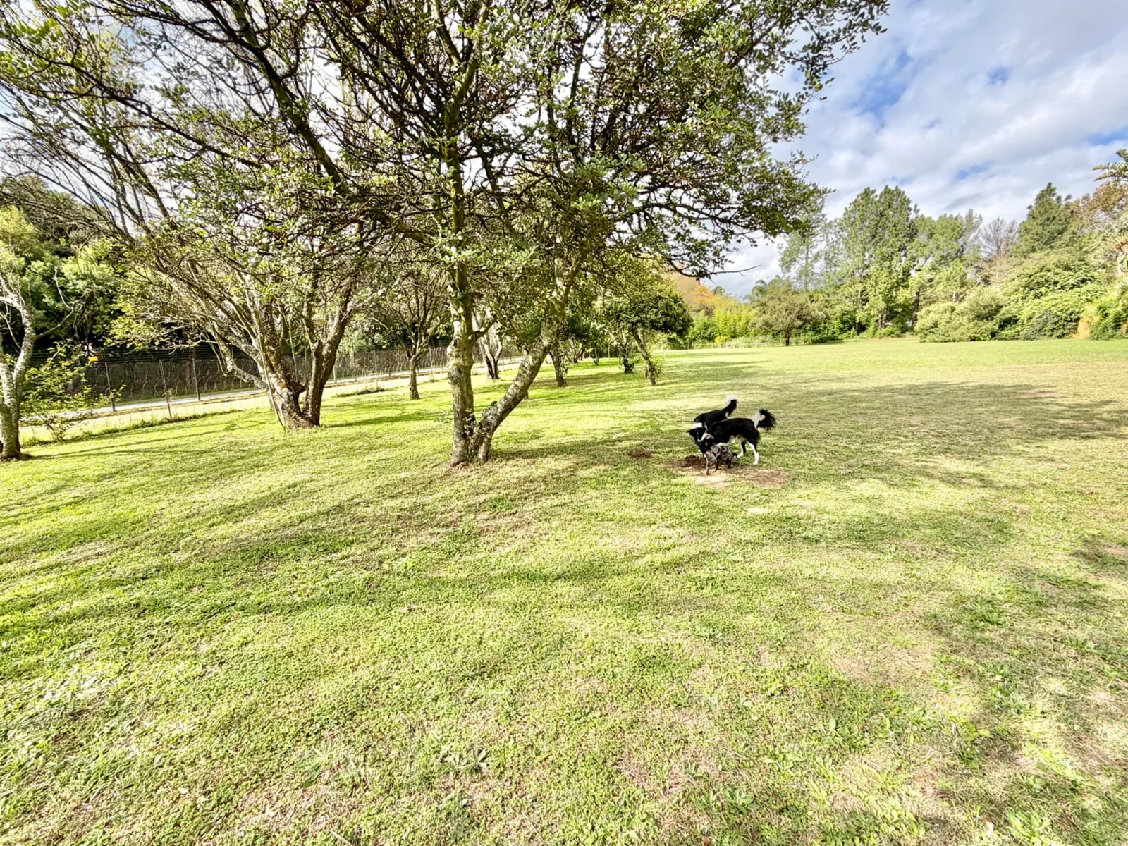 Investment Property in Glen Austin, Midrand – 1 Hectare Income-Generating Multi-Let Asset with Cottages & Massive Development Potential