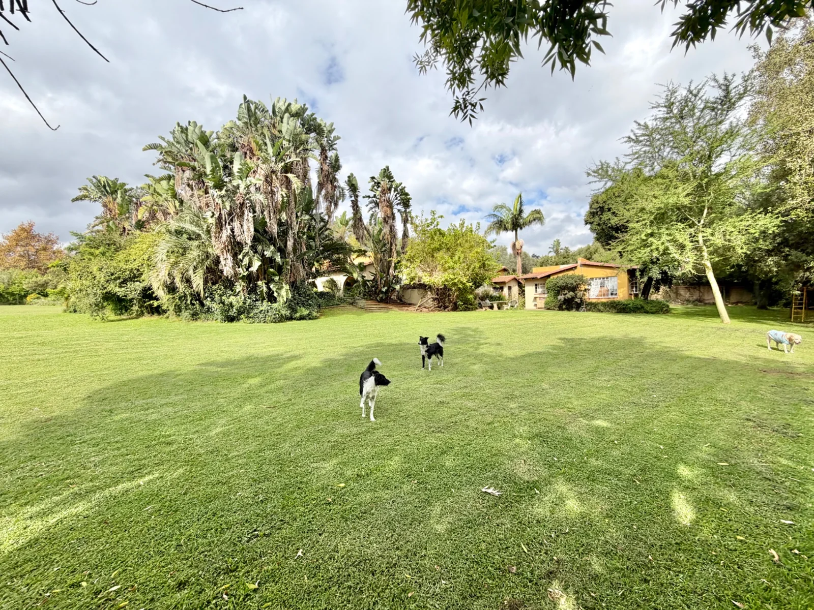 Investment Property in Glen Austin, Midrand – 1 Hectare Income-Generating Multi-Let Asset with Cottages & Massive Development Potential