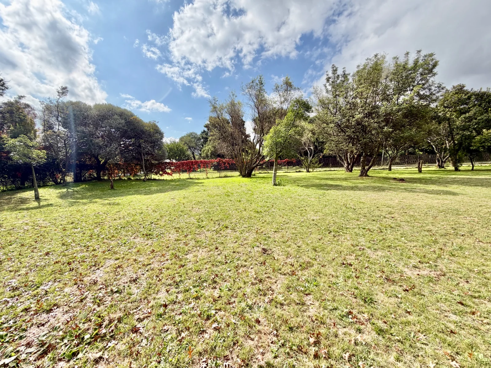 Investment Property in Glen Austin, Midrand – 1 Hectare Income-Generating Multi-Let Asset with Cottages & Massive Development Potential