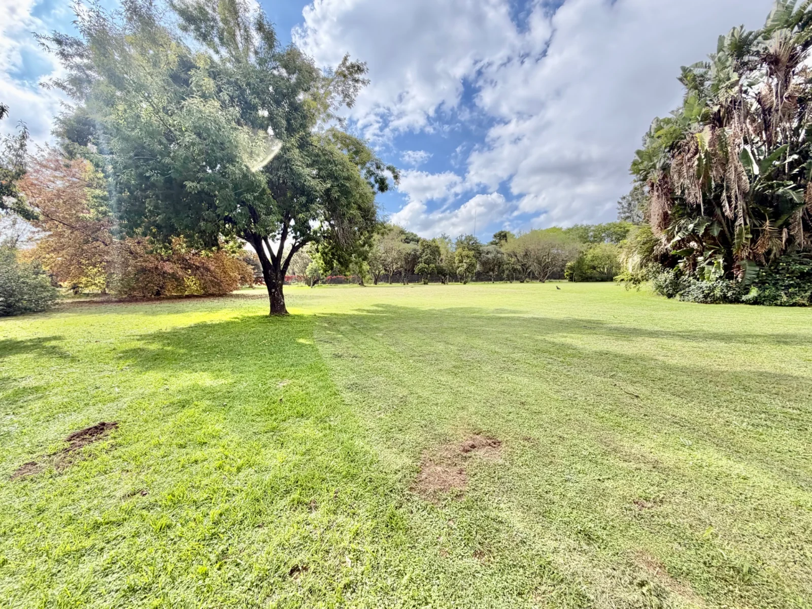 Investment Property in Glen Austin, Midrand – 1 Hectare Income-Generating Multi-Let Asset with Cottages & Massive Development Potential