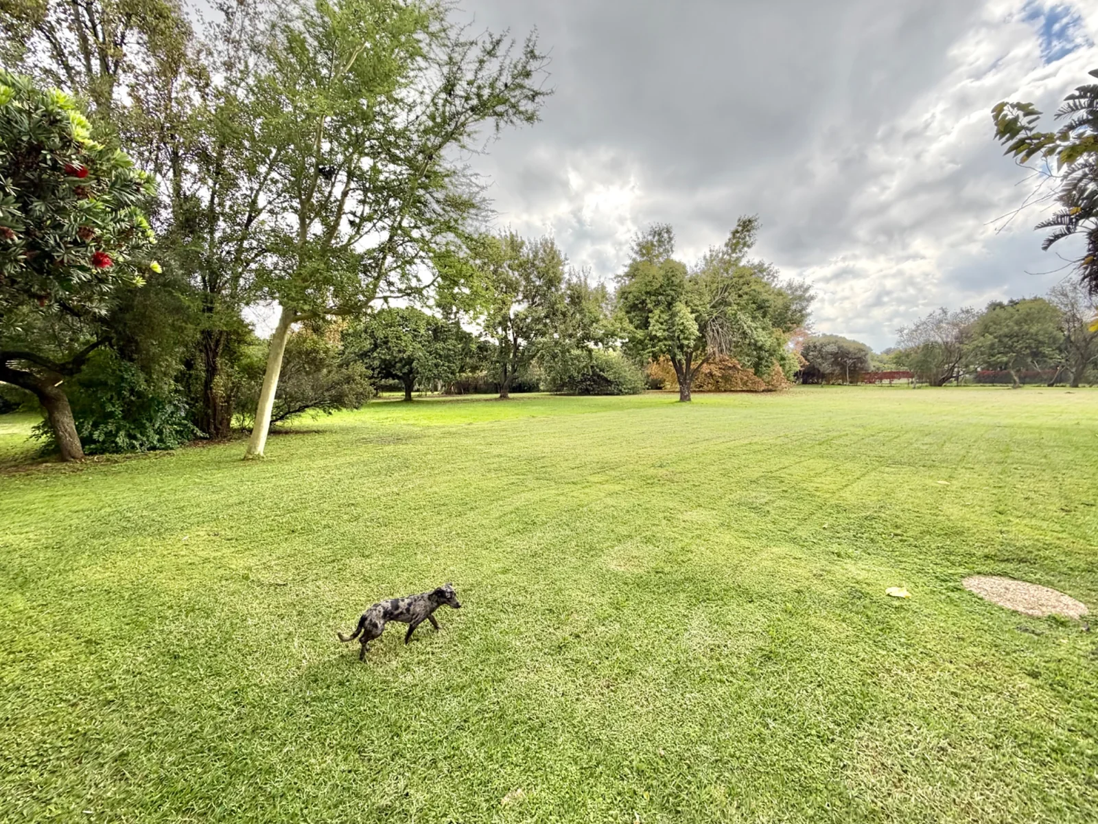Investment Property in Glen Austin, Midrand – 1 Hectare Income-Generating Multi-Let Asset with Cottages & Massive Development Potential