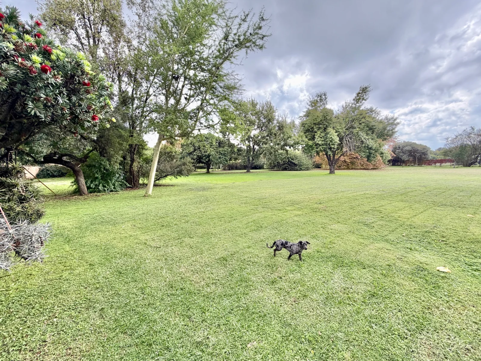 Investment Property in Glen Austin, Midrand – 1 Hectare Income-Generating Multi-Let Asset with Cottages & Massive Development Potential