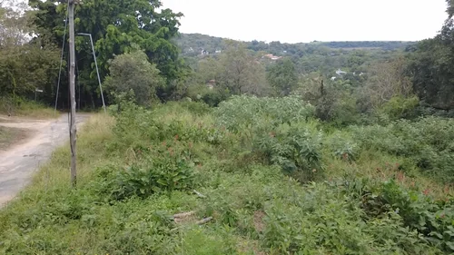 Numbipark, Hazyview