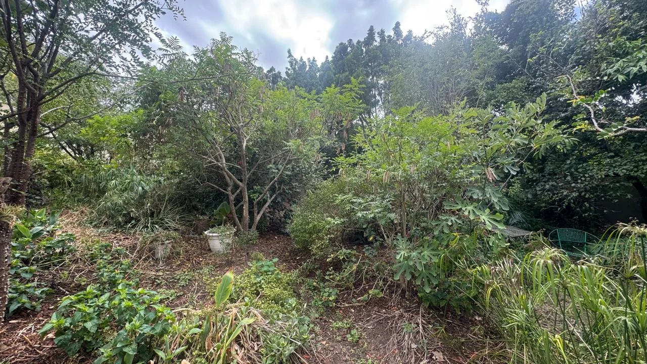 SPACIOUS PROPERTY WITH HUGE DEVELOPMENT POTENTIAL