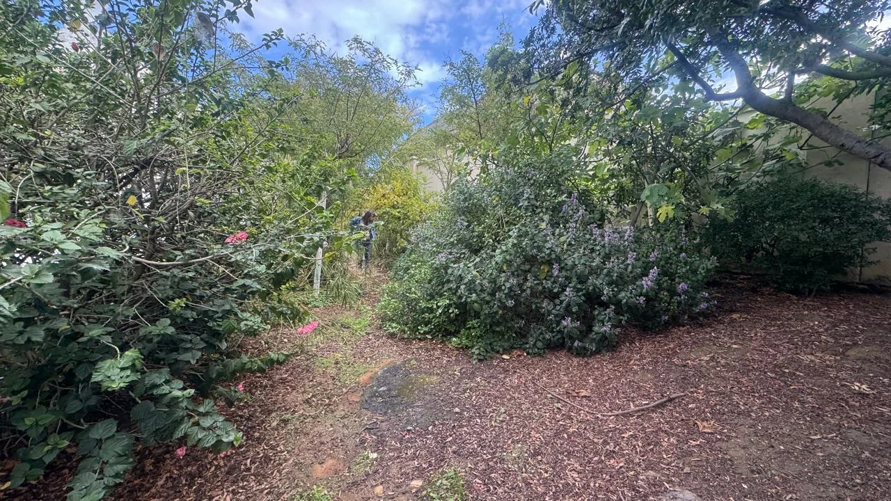 SPACIOUS PROPERTY WITH HUGE DEVELOPMENT POTENTIAL