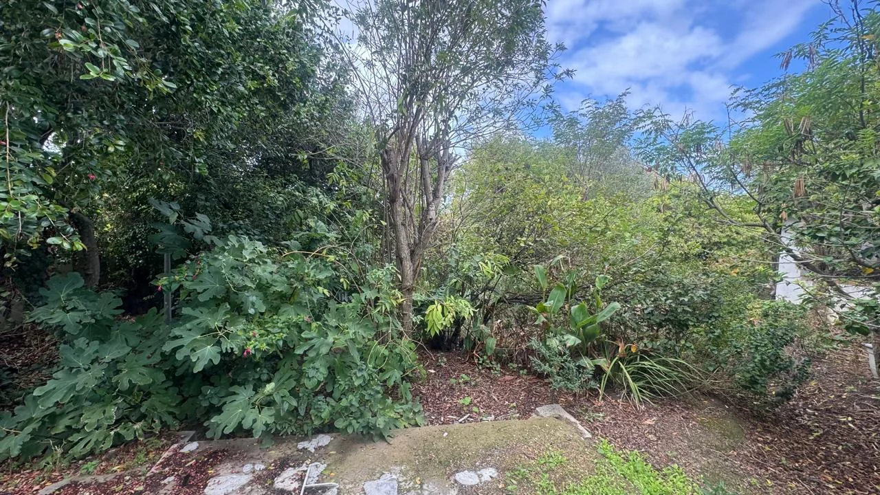 SPACIOUS PROPERTY WITH HUGE DEVELOPMENT POTENTIAL