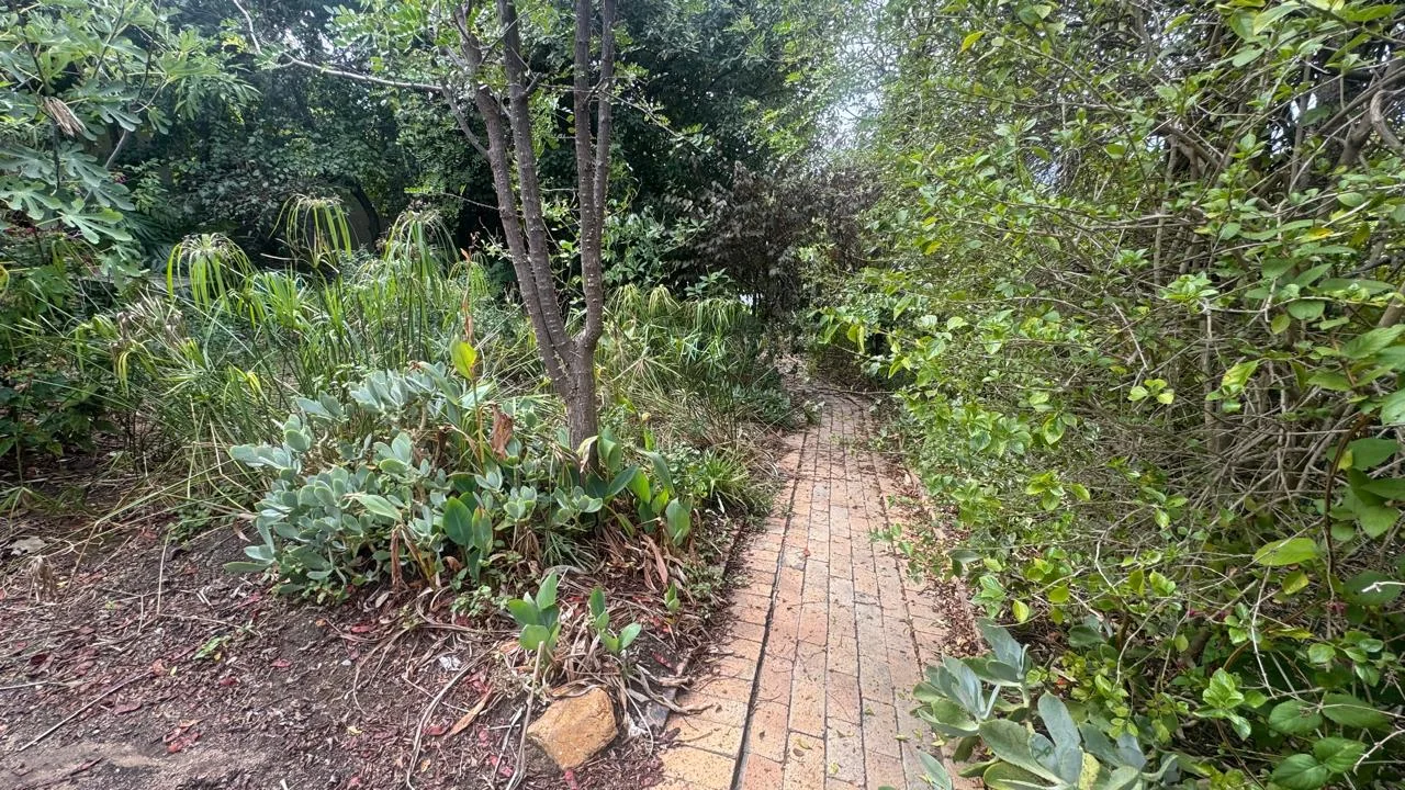 SPACIOUS PROPERTY WITH HUGE DEVELOPMENT POTENTIAL