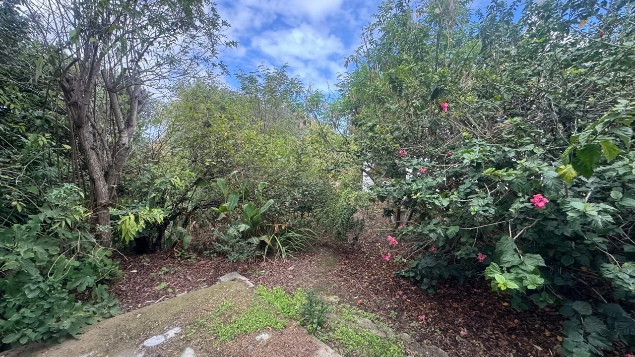 SPACIOUS PROPERTY WITH HUGE DEVELOPMENT POTENTIAL
