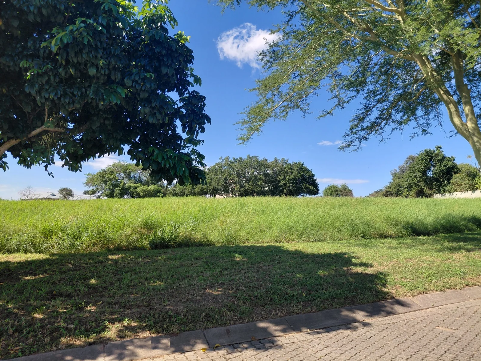 LFPE-18053
