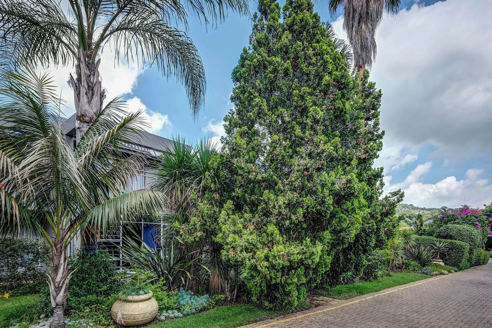 Spacious First Floor Apartment in a Sought-After Tranquil Suburb of Constantia Kloof