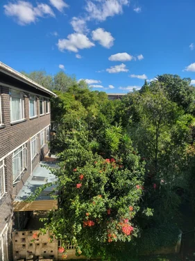 Lyndhurst, Johannesburg