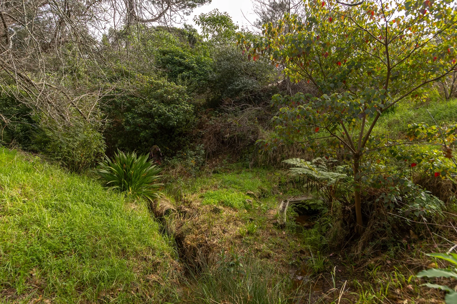 Exclusive Estate Living | From R6.5 Million