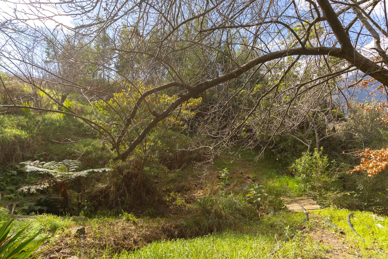 Exclusive Estate Living | From R6.5 Million