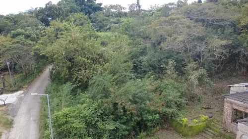 Numbipark, Hazyview