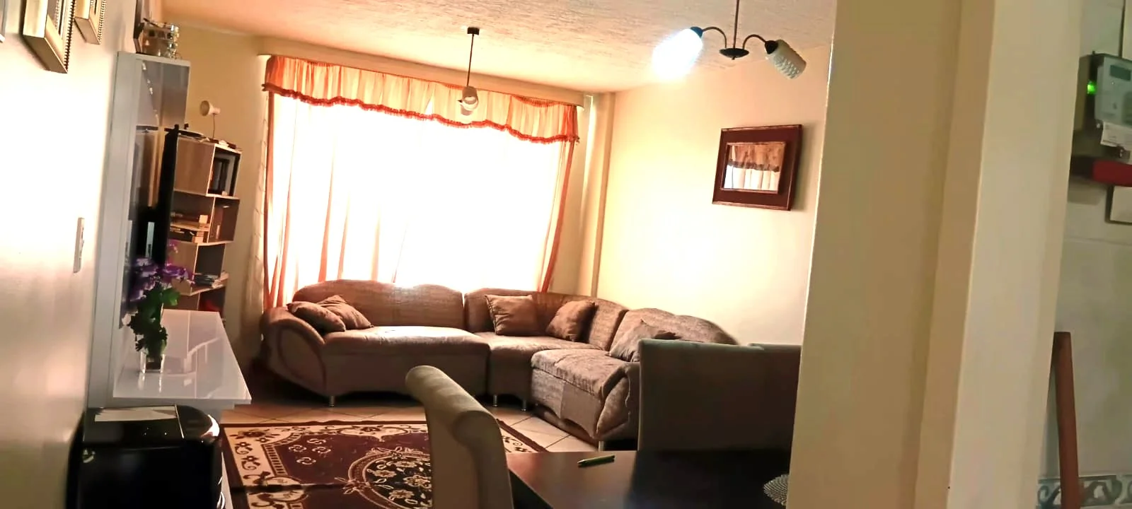 More Than an Apartment—A Place to Belong.