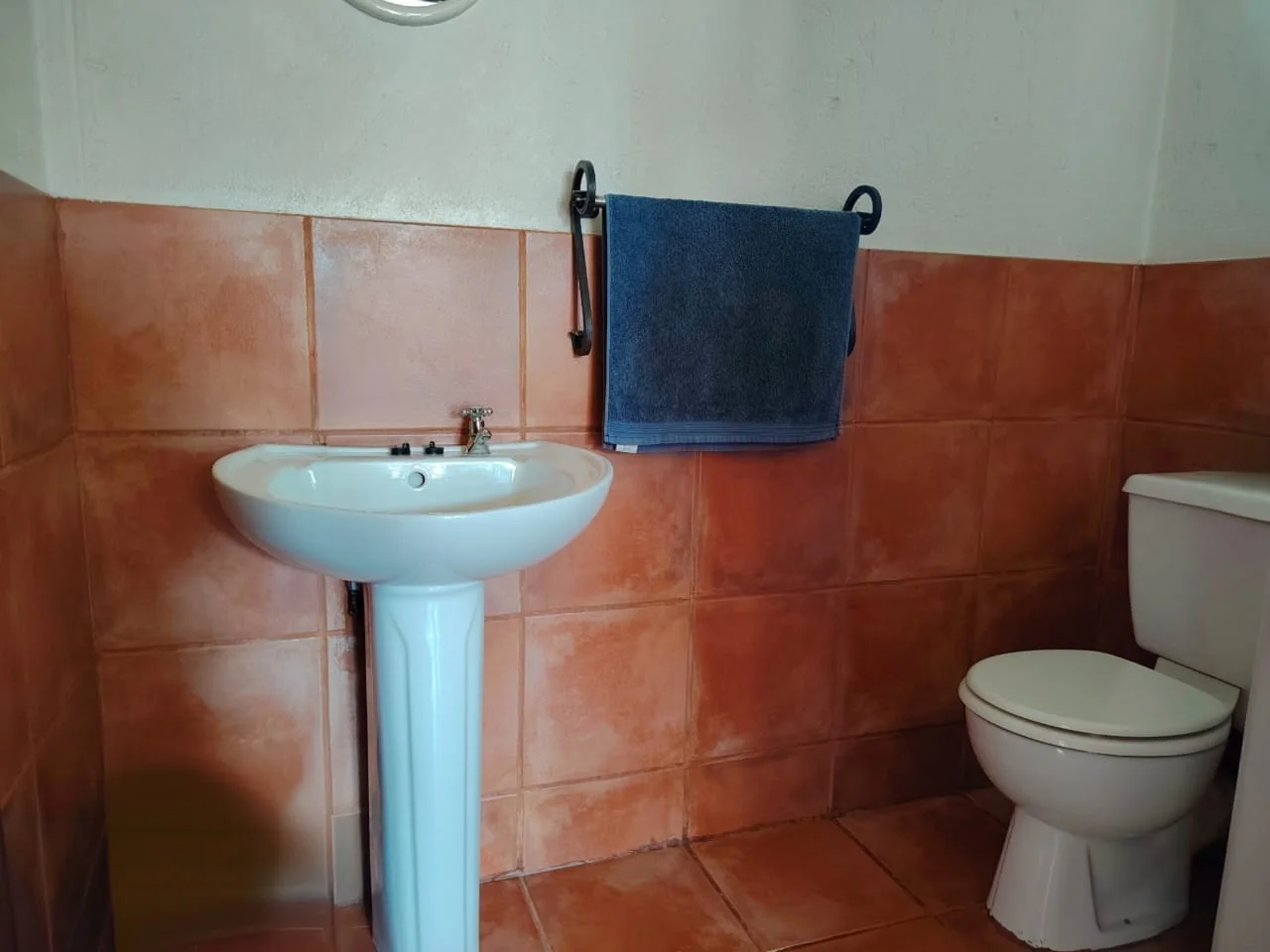 Country Living with City Convenience – 1 Hectare Farm-Style Property